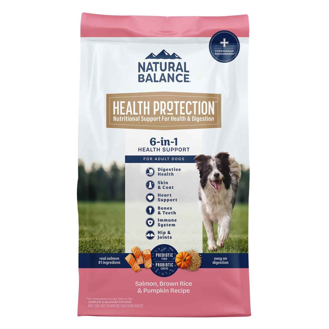 Natural Balance Health Protection Dry Dog Food, Salmon, Brown Rice & Pumpkin Recipe - Image 2