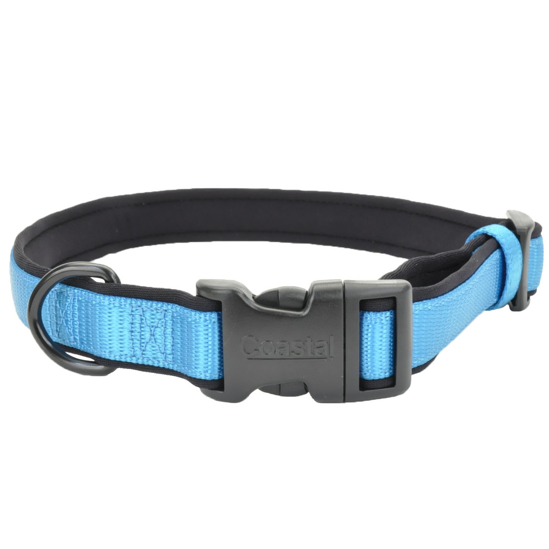 Coastal® Adjustable Comfort Dog Collar, Aqua, 1" x 14"-20"