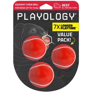 Playology Beef Scented Squeaky Chew Ball Dog Toy, Small, 3 Count