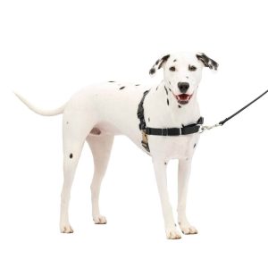 PetSafe® Easy Walk® Harness