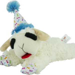Play On Lamb Chop® with Birthday Hat Dog Toy, Assorted, 10 Inches