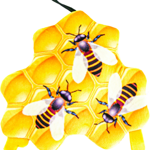 Play On Dog Toy Honeycomb Squeaker Mat