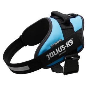 IDC Powerharness for Dogs, Aquamarine