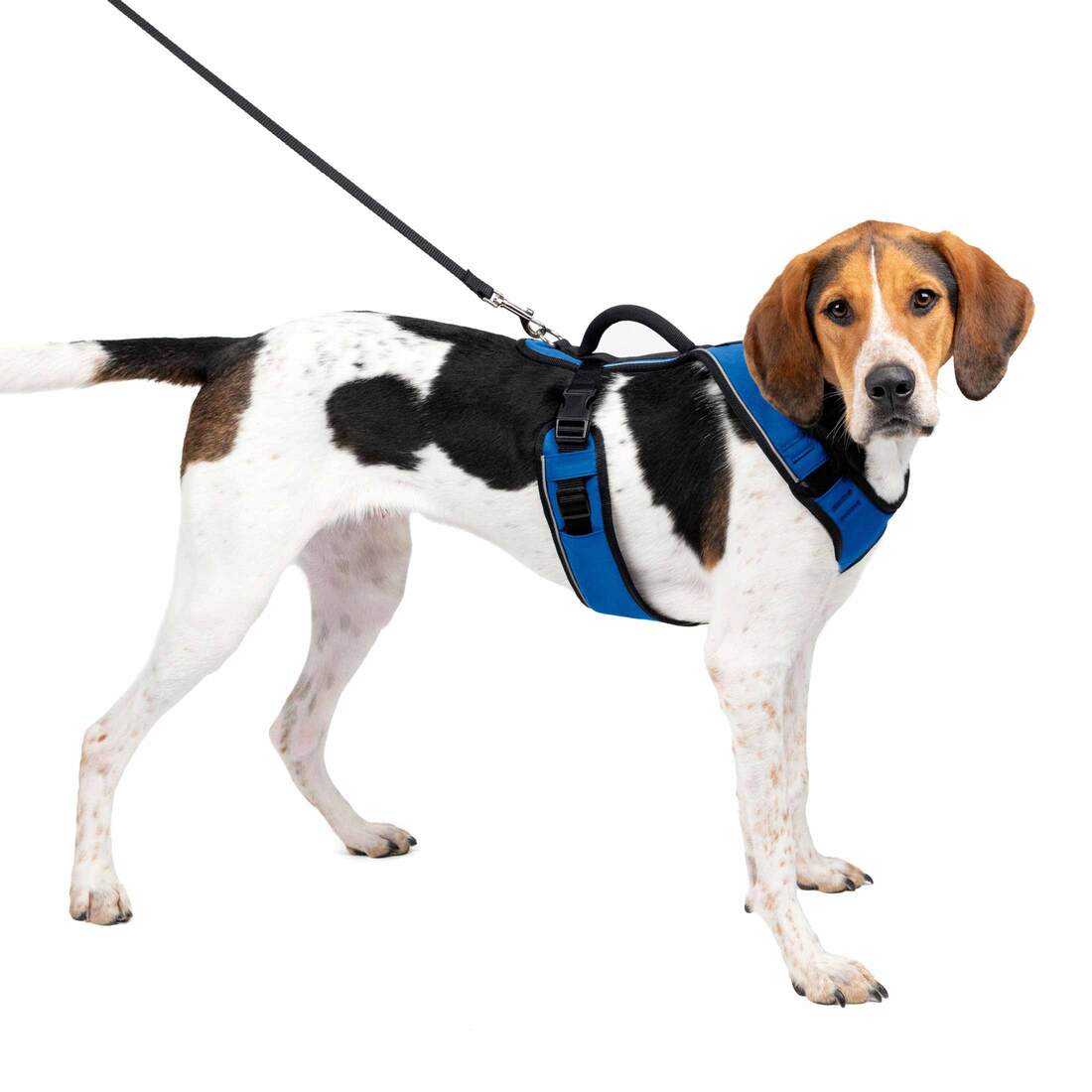 PetSafe® EasySport Harness - Image 6