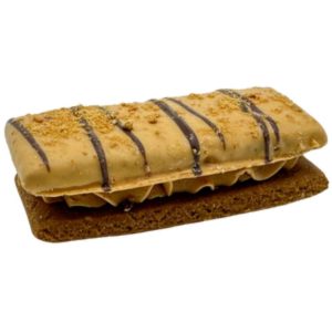 Preppy Puppy Dipped Peanut Butter Bakery Dog Treat