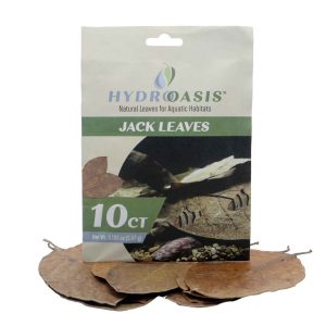 Hydroasis Aquatic Plant Jack Leaves, 10 Count
