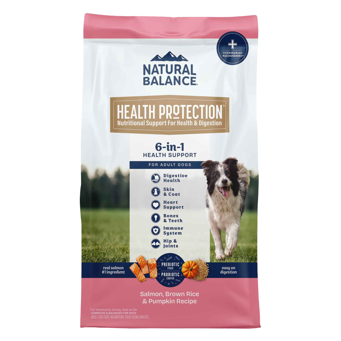 Natural Balance Health Protection Dry Dog Food, Salmon, Brown Rice & Pumpkin Recipe