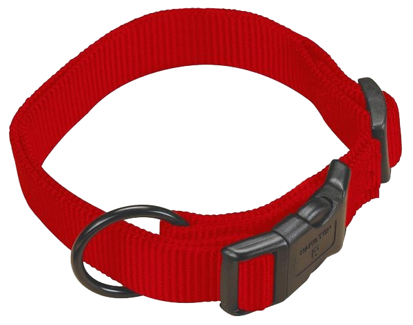 Hamilton Adjustable Dog Collar - Image 2