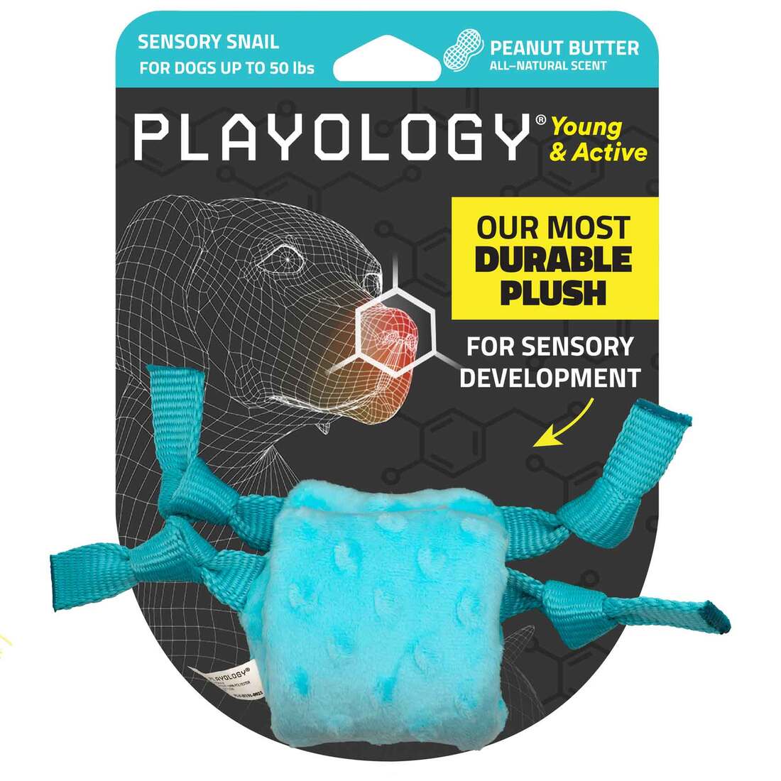 Playology Peanut Butter Scented Puppy Sensory Snail Dog Toy, Small