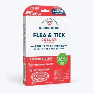 Wondercide Dog Flea/Tick Collar, Peppermint, 1 Count