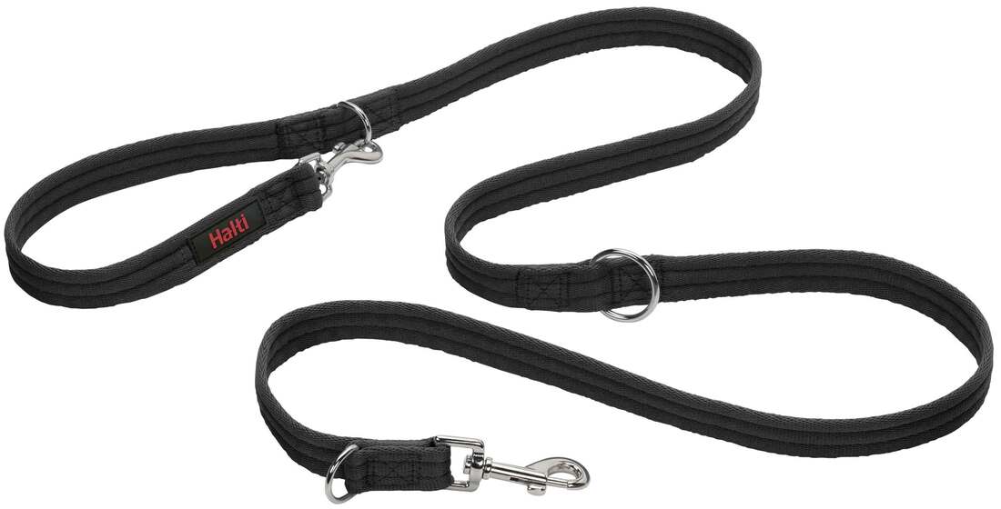 Company Of Animals Training Lead - Image 2