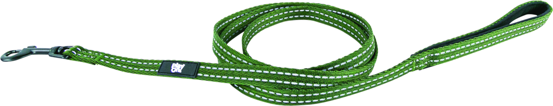 Play On Adventure Reflective Dog Leash, Olive