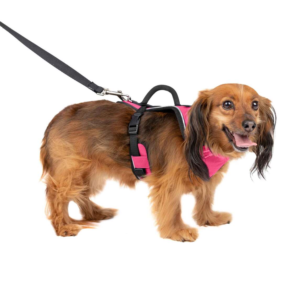 PetSafe Easysport Dog Harness, Pink - Image 2