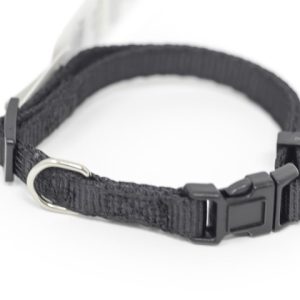 PS+ Dog Collar 8-12 Inches