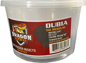 Dragon Lair Dubia Roaches, Medium - Not Available For Delivery