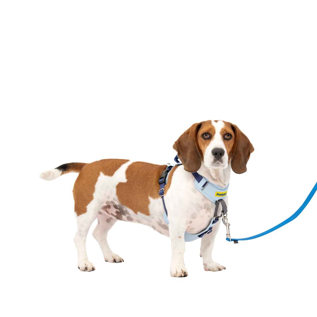 PetSafe® Easy Walk® Harness - Image 9