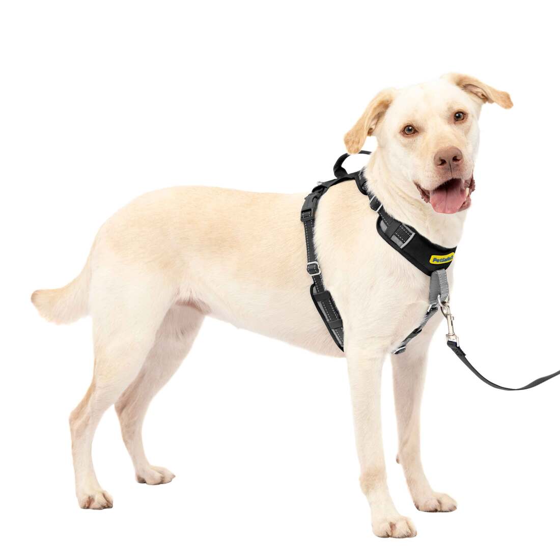 PetSafe® Easy Walk® Harness - Image 3