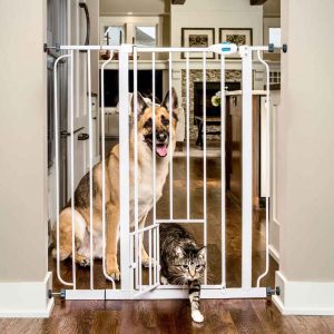 Carlson Extra Tall Pet Gate