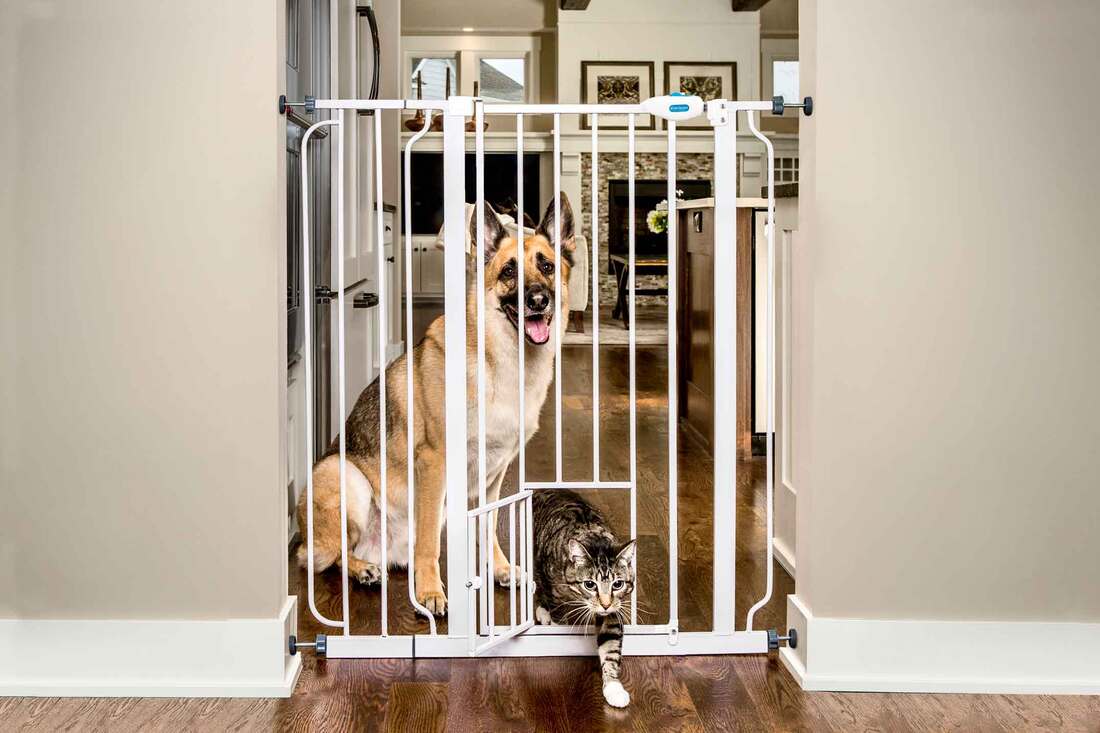 Carlson Extra Tall Pet Gate