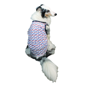 Play On Americana Popsicle Tank, Large