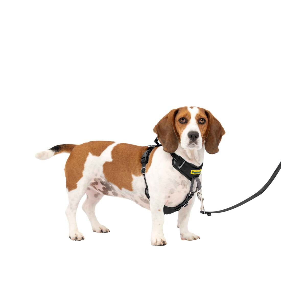 PetSafe® Easy Walk® Harness - Image 13