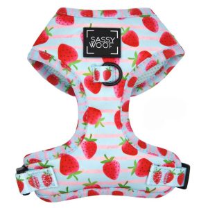 Sassy Woof Adjustable Dog Harness, I Woof You Berry Much