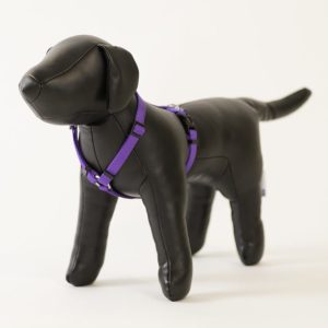 PS+ Dog Harness 12-18 Inches