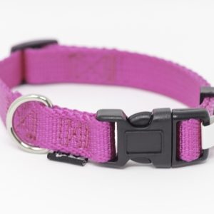 PS+ Dog Collar 10-14 Inches
