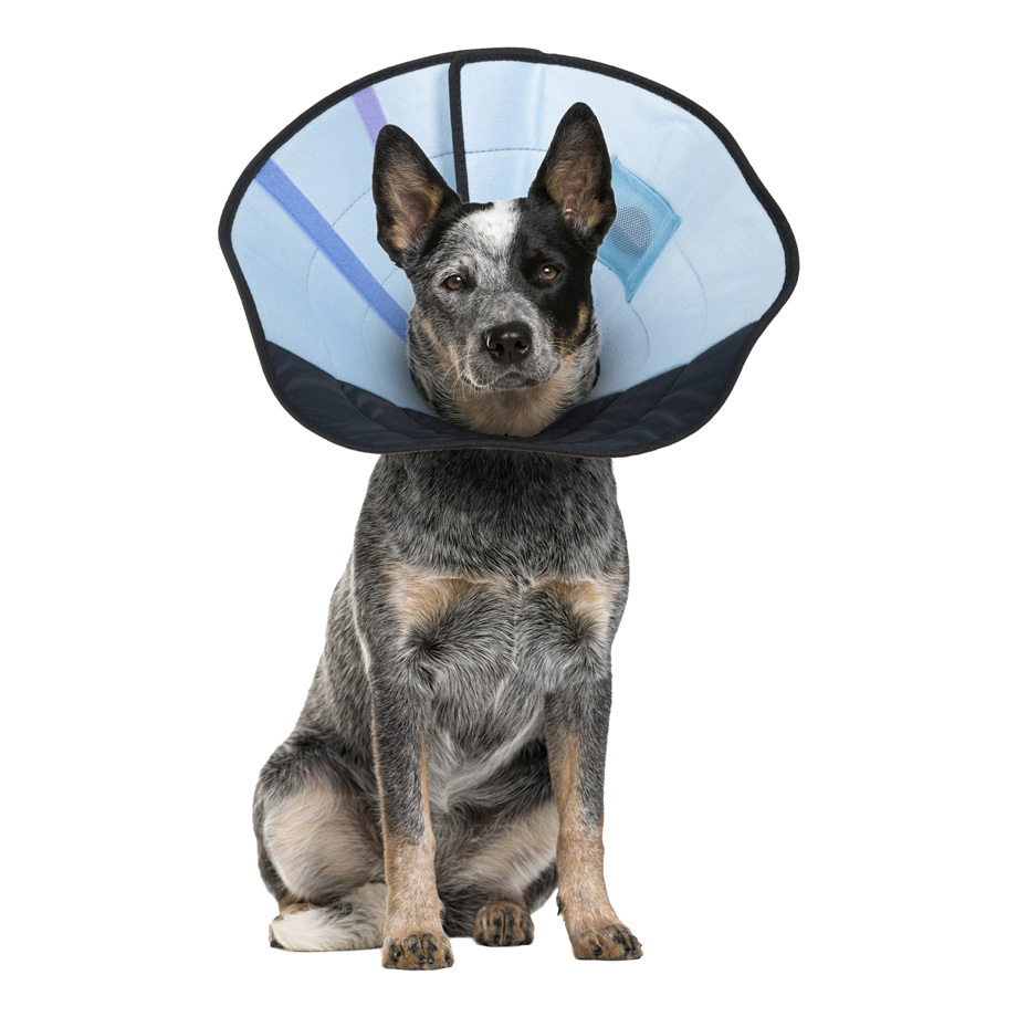 Calm Paws Dog Caring Collar With Calming - Image 2