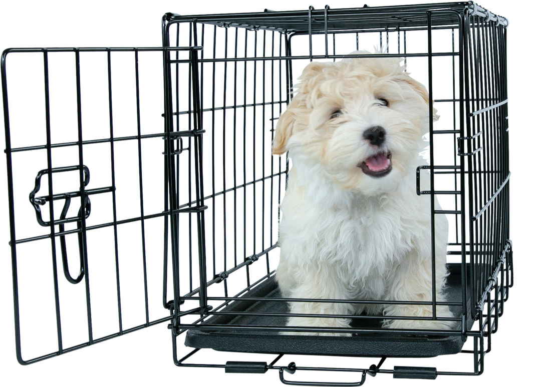 Play On Single Door Crate - Image 6