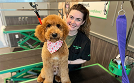 Grooming Salons