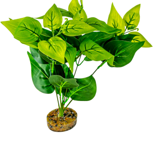 Terrassic Terrarium Décor, Scindapsus Plant, 10 Inches