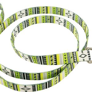 PS+ Dog Leash, Aztec, Green, 5/8 Inch X 4 Foot