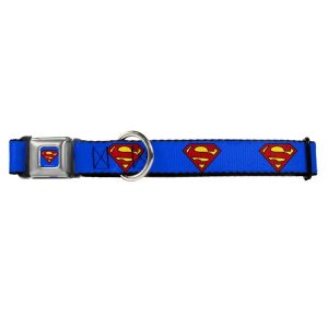 Buckle Down Dog Collar, Superman