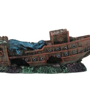 Fins First Sunken Ship